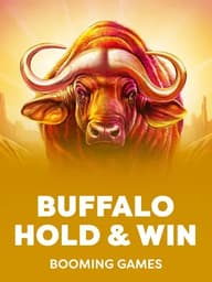 Buffalo Hold and Win