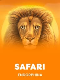 Safari