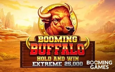 Booming Buffalo Hold Banner